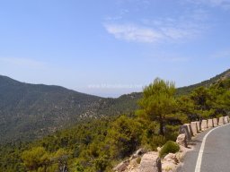 Valle de Leiva-Perdiz 2010